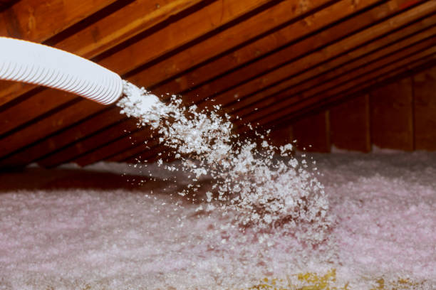 Best Geographic-Specific Insulation Services in La Vista, NE