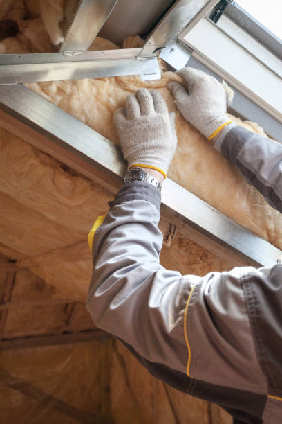 Best Energy Efficiency Insulation in La Vista, NE