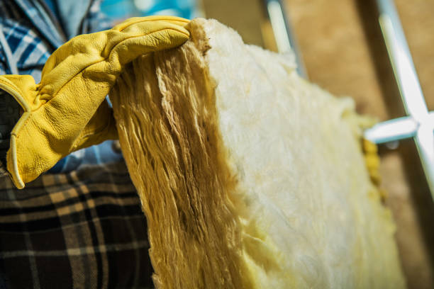 Best Blown-in Insulation in La Vista, NE