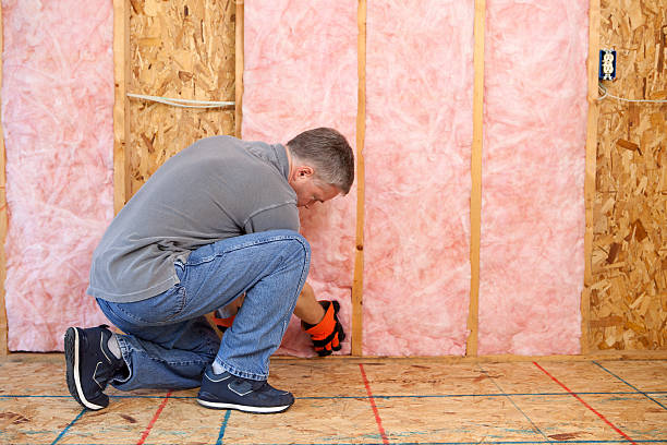 Best Cellulose Insulation in La Vista, NE