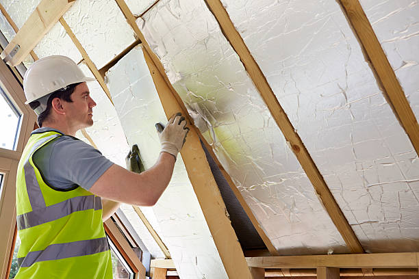 Best Eco-Friendly Insulation in La Vista, NE