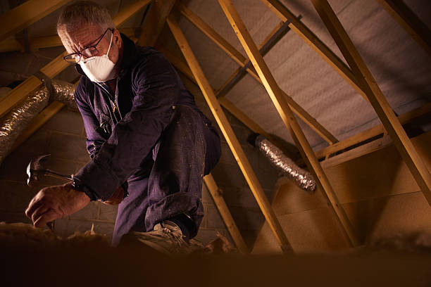 Types of Insulation We Offer in La Vista, NE