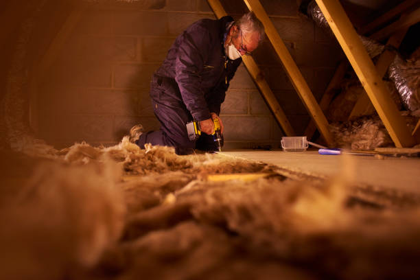 Best Specialized Insulation Services in La Vista, NE